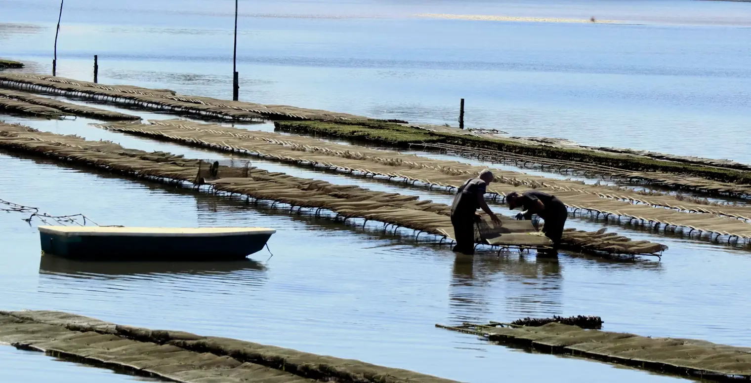 A morning on the water with our oyster farmer
